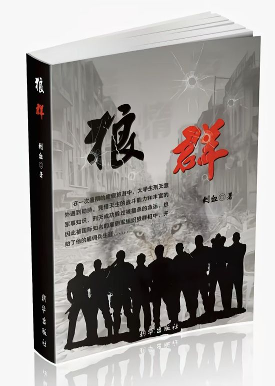国产新型无人机